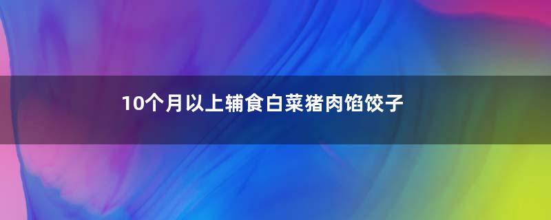 10个月以上辅食白菜猪肉馅饺子