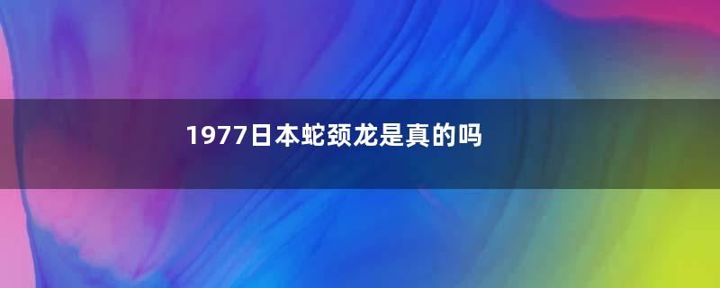 1977日本蛇颈龙是真的吗