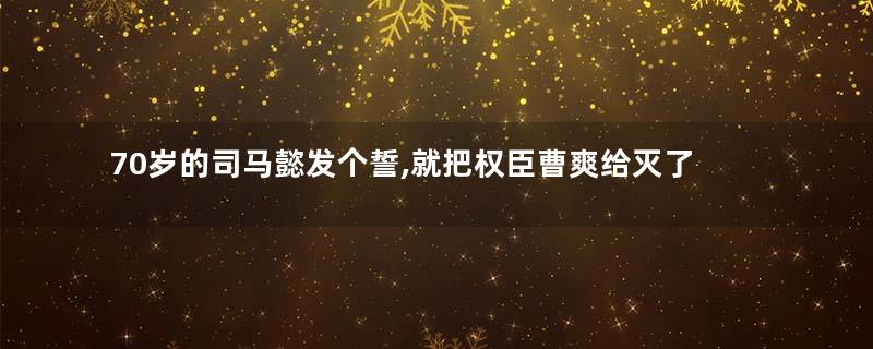 70岁的司马懿发个誓,就把权臣曹爽给灭了,简直滑稽且反智