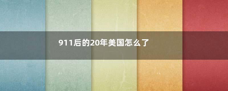 911后的20年美国怎么了