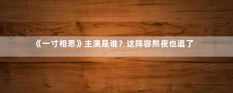 《一寸相思》主演是谁？这阵容熬夜也追了