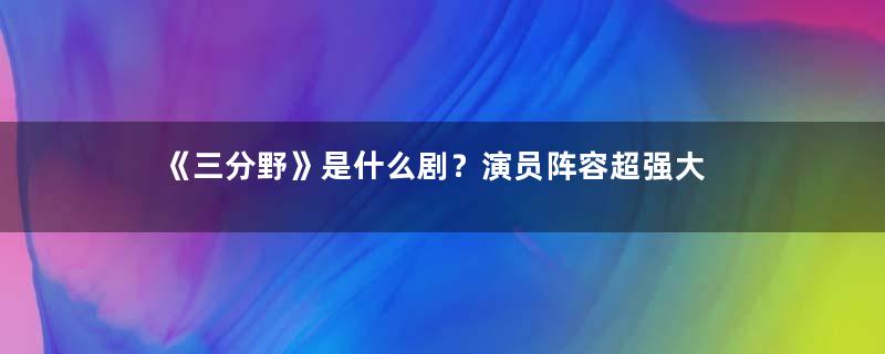 《三分野》是什么剧？演员阵容超强大