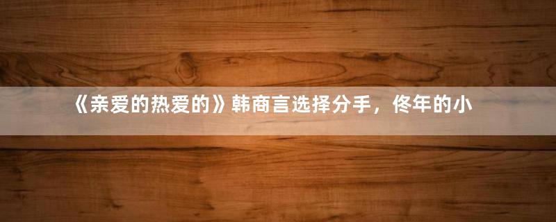 《亲爱的热爱的》韩商言选择分手，佟年的小毛驴不见了！