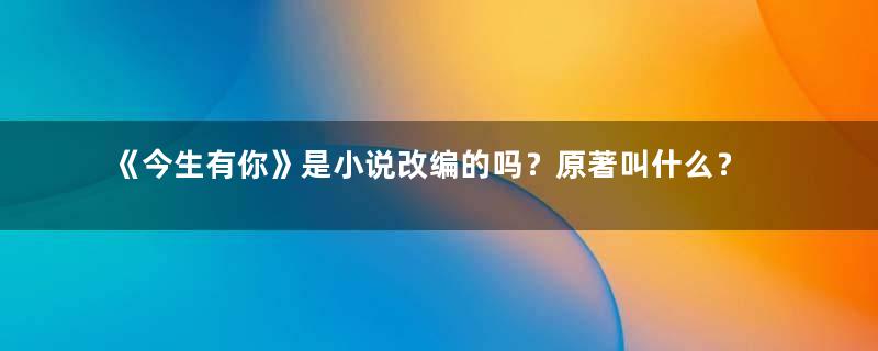 《今生有你》是小说改编的吗？原著叫什么？