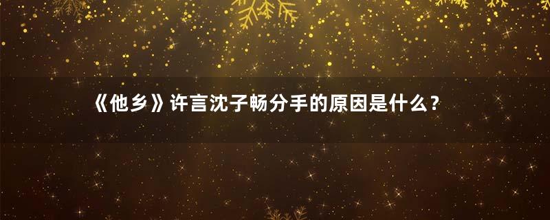 《他乡》许言沈子畅分手的原因是什么？