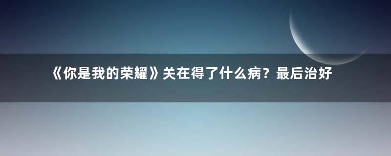 《你是我的荣耀》关在得了什么病？最后治好了吗