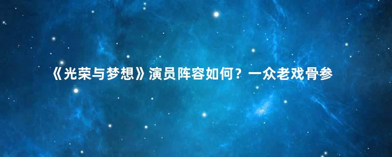 《光荣与梦想》演员阵容如何？一众老戏骨参加