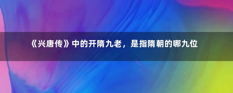 《兴唐传》中的开隋九老，是指隋朝的哪九位开国功臣？