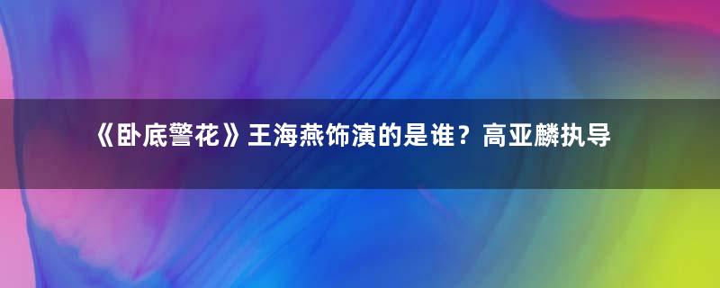 《卧底警花》王海燕饰演的是谁？高亚麟执导