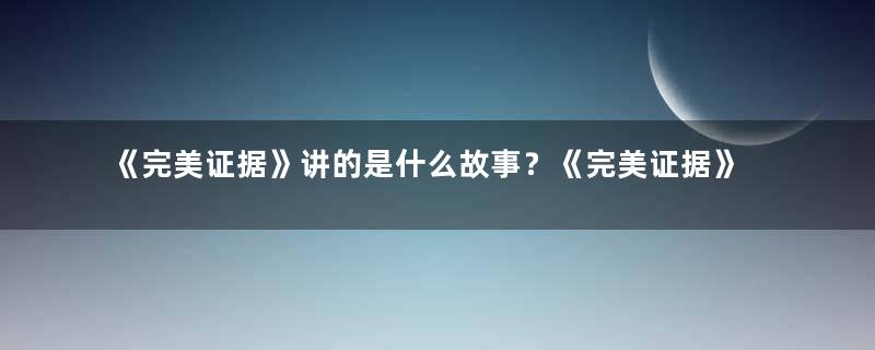 《完美证据》讲的是什么故事？《完美证据》