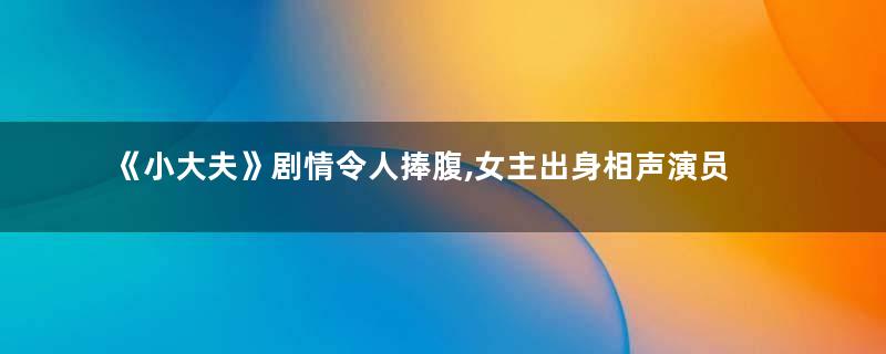 《小大夫》剧情令人捧腹,女主出身相声演员