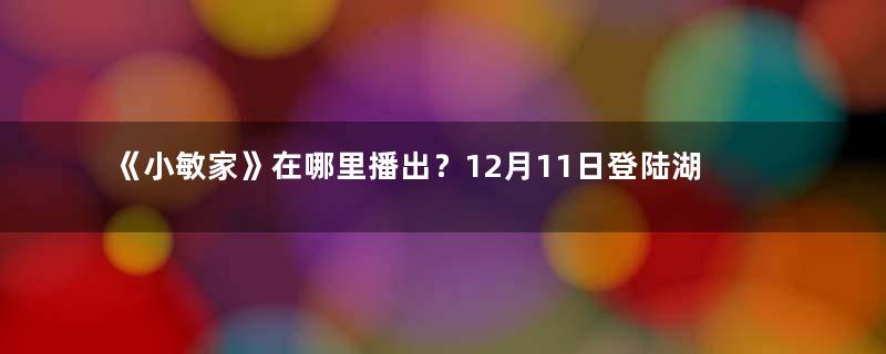 《小敏家》在哪里播出？12月11日登陆湖南卫视