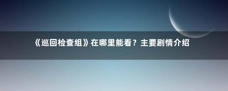 《巡回检查组》在哪里能看？主要剧情介绍