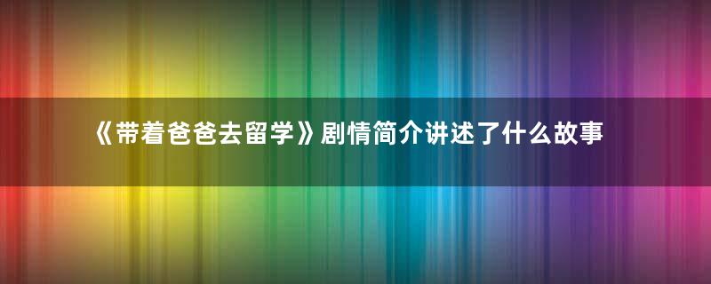 《带着爸爸去留学》剧情简介讲述了什么故事