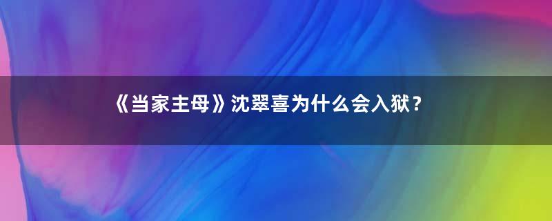 《当家主母》沈翠喜为什么会入狱？