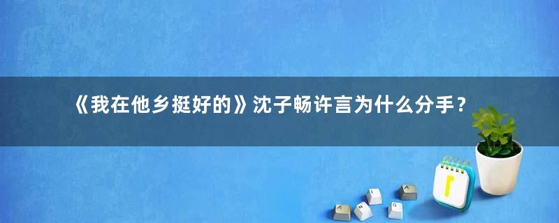 《我在他乡挺好的》沈子畅许言为什么分手？