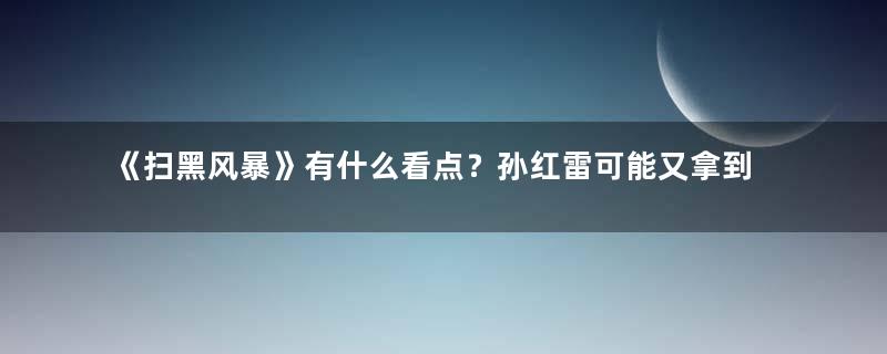 《扫黑风暴》有什么看点？孙红雷可能又拿到了收视王牌