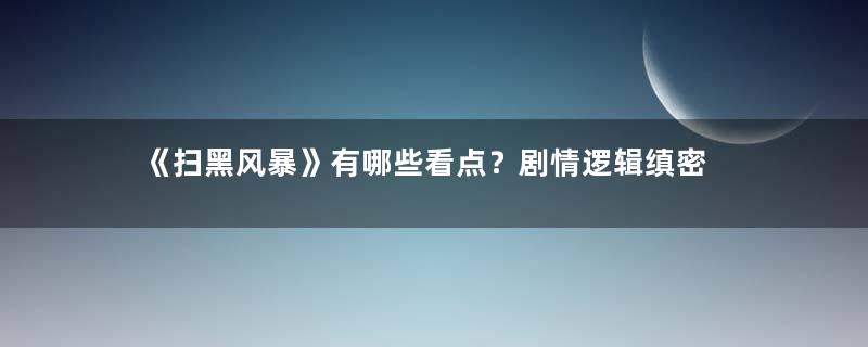 《扫黑风暴》有哪些看点？剧情逻辑缜密