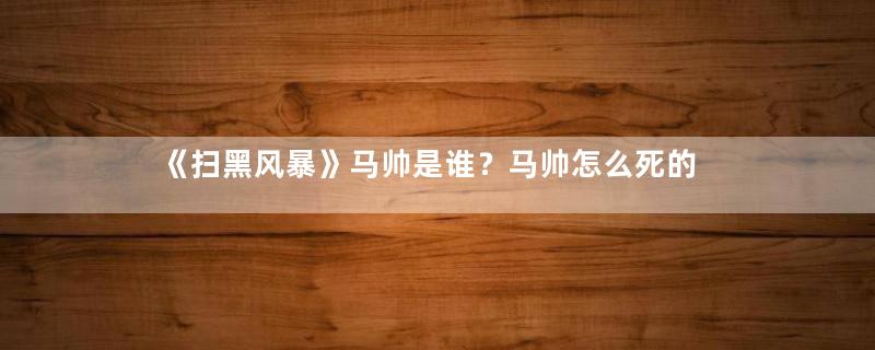 《扫黑风暴》马帅是谁？马帅怎么死的