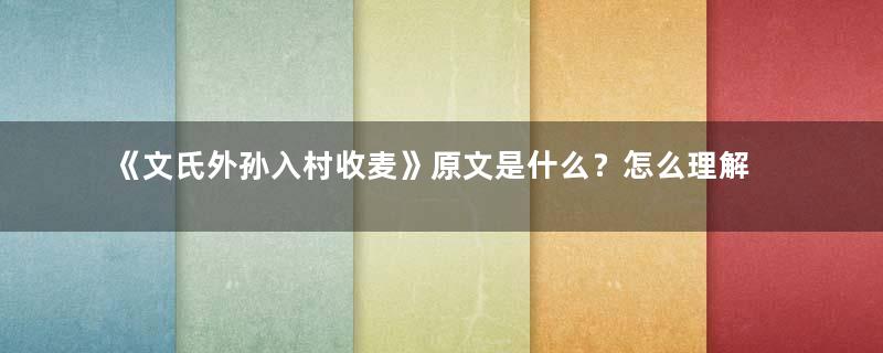 《文氏外孙入村收麦》原文是什么？怎么理解？