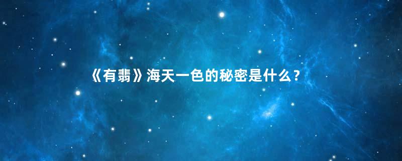 《有翡》海天一色的秘密是什么？