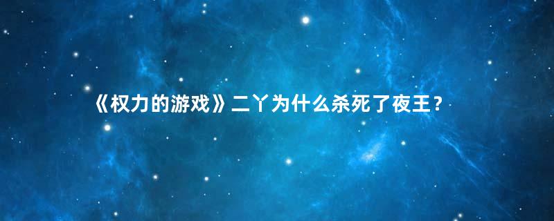 《权力的游戏》二丫为什么杀死了夜王？