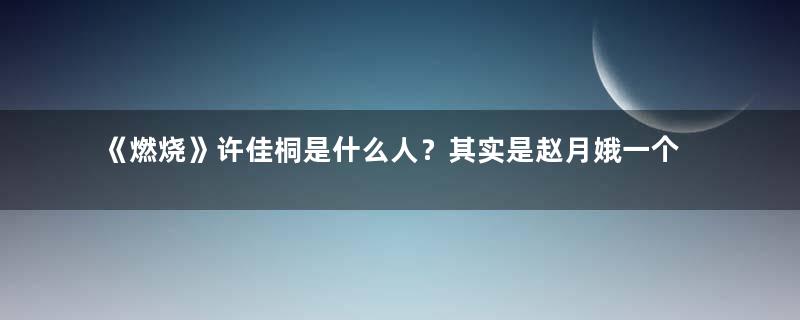 《燃烧》许佳桐是什么人？其实是赵月娥一个重要棋子