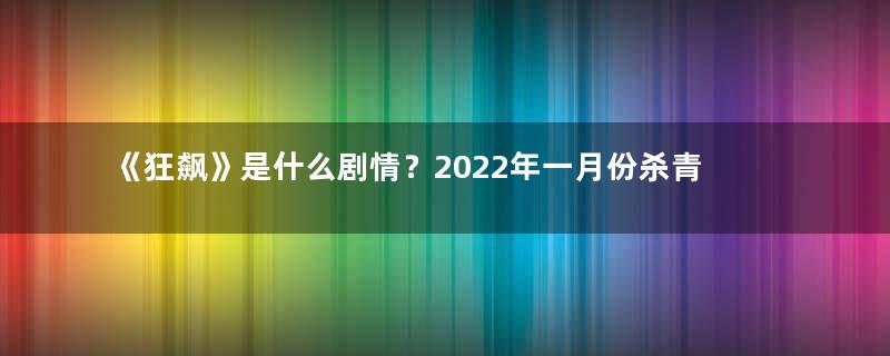 《狂飙》是什么剧情？2022年一月份杀青