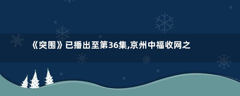 《突围》已播出至第36集,京州中福收网之战即将打响