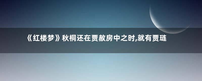 《红楼梦》秋桐还在贾赦房中之时,就有贾琏有私情