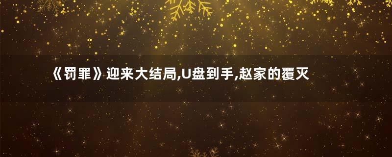 《罚罪》迎来大结局,U盘到手,赵家的覆灭无法避免