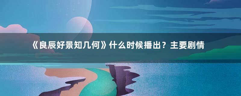 《良辰好景知几何》什么时候播出？主要剧情简介