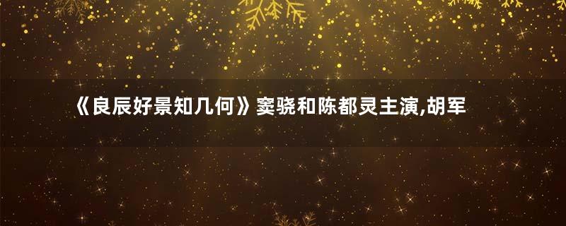 《良辰好景知几何》窦骁和陈都灵主演,胡军和王劲松坐镇