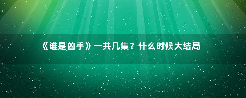 《谁是凶手》一共几集？什么时候大结局