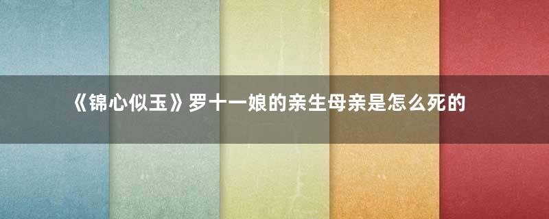 《锦心似玉》罗十一娘的亲生母亲是怎么死的？究竟是谁杀的