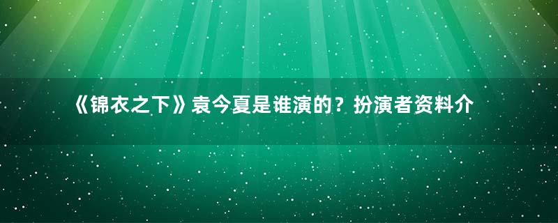 《锦衣之下》袁今夏是谁演的？扮演者资料介绍