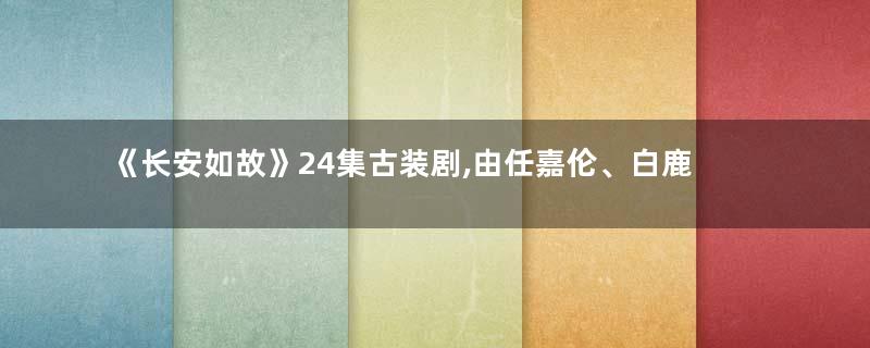 《长安如故》24集古装剧,由任嘉伦、白鹿主演