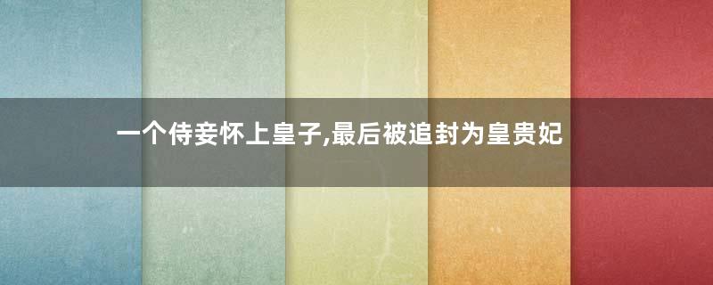 一个侍妾怀上皇子,最后被追封为皇贵妃