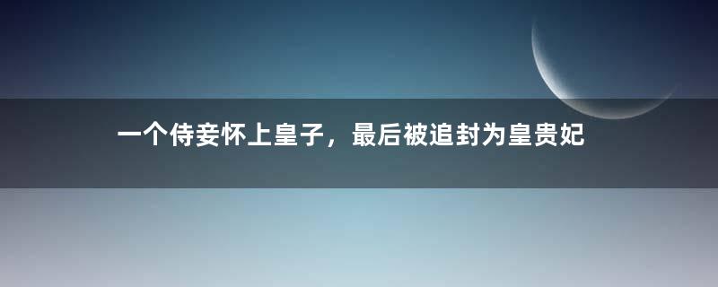 一个侍妾怀上皇子，最后被追封为皇贵妃