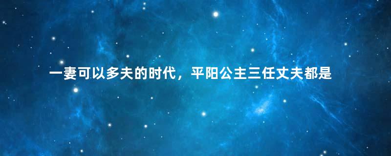 一妻可以多夫的时代，平阳公主三任丈夫都是谁？