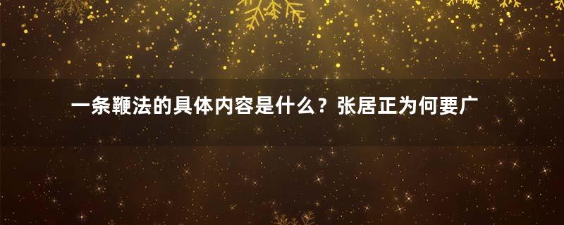 一条鞭法的具体内容是什么？张居正为何要广泛推广？