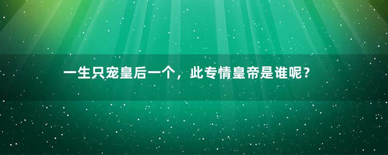 一生只宠皇后一个，此专情皇帝是谁呢？