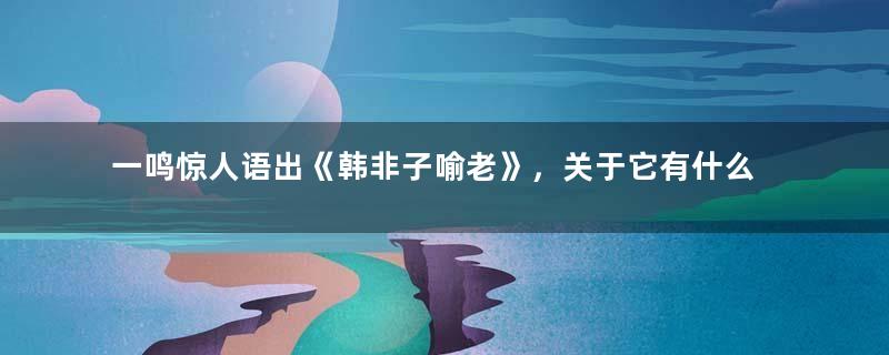 一鸣惊人语出《韩非子喻老》，关于它有什么历史典故？