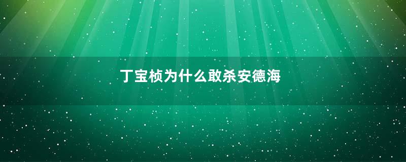 丁宝桢为什么敢杀安德海
