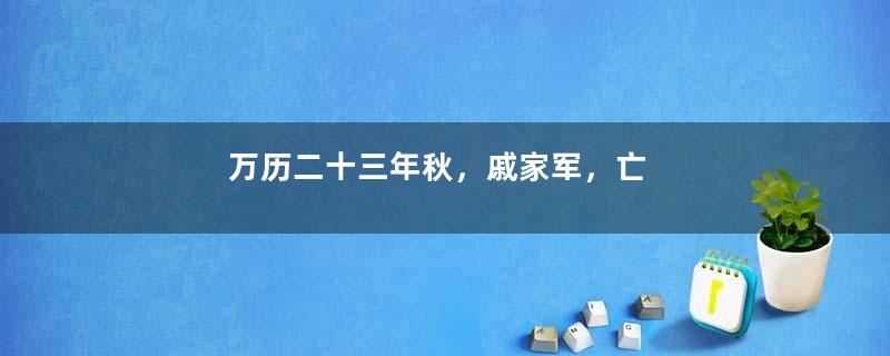 万历二十三年秋，戚家军，亡