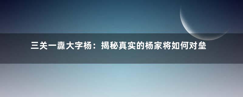 三关一纛大字杨：揭秘真实的杨家将如何对垒萧太后