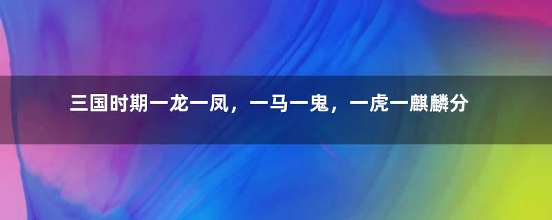 三国时期一龙一凤，一马一鬼，一虎一麒麟分别指的是哪些人？