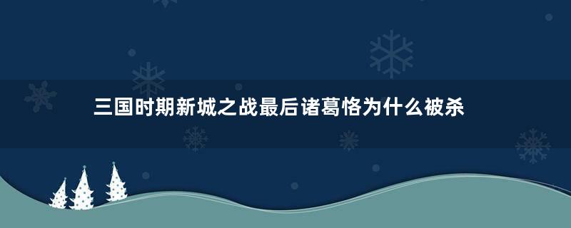 三国时期新城之战最后诸葛恪为什么被杀