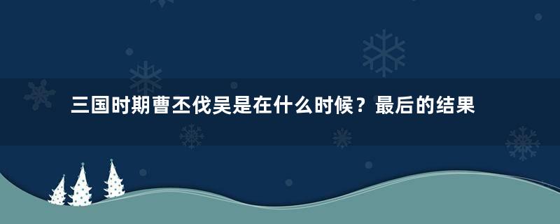 三国时期曹丕伐吴是在什么时候？最后的结果如何？