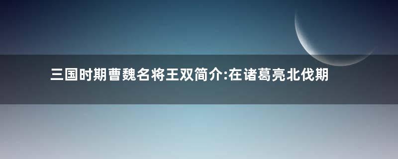 三国时期曹魏名将王双简介:在诸葛亮北伐期间,被魏延所斩